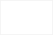 mt-1987-brand-img06.png